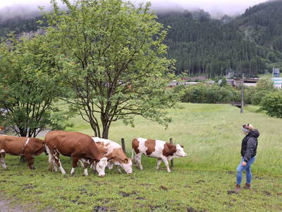 Bild 12 aus  Hinterhub