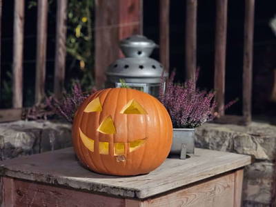 Bild 23 aus  Pfleger Ranch am Schönegg Gut