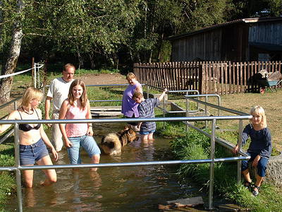 Bild 8 aus  Pension Kolbeck