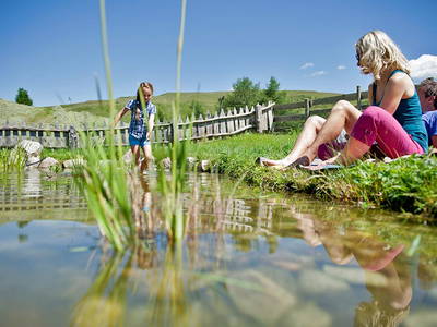 Bild 38 aus  Appartement Birkenhof - Urlaub mit Pferden und Alpakas