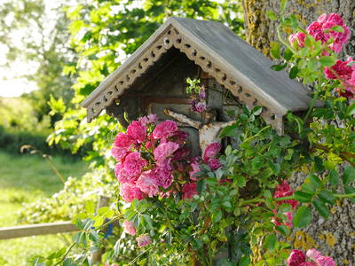 Bild 10 aus  Edmeierhof