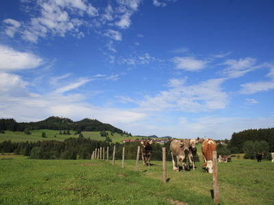 Bild 3 aus  Landhaus Wagner