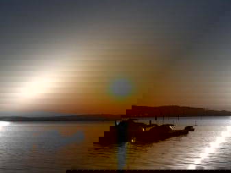 Bild 71 aus  Familien-Bauernhofurlaub im Herzen der Schweiz