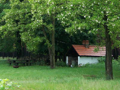 Bild 15 aus  Pferde- und Freizeithof Koplin