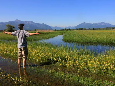 Bild 32 aus  Stefanutti Hof