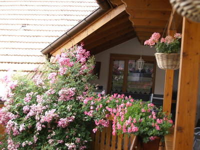 Bild 7 aus  Kaiserstühler Winzerhof Hohwieler