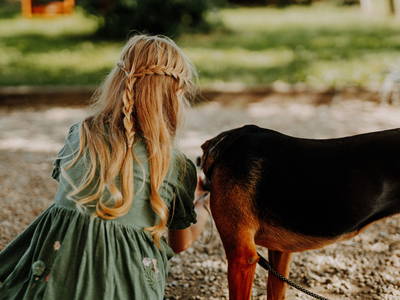 Bild 11 aus  Rittergut Positz