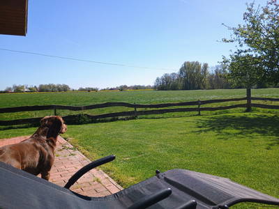 Bild 24 aus  Ferienhof Hasseler