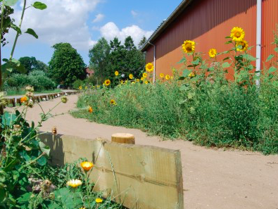 Bild 18 aus  Ahoi Ostsee:  Bauernhof und OstseeUrlaub - Ferienhof Becker in Dahme