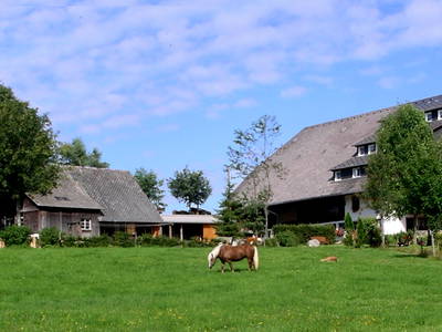 Bild 3 aus  Gschwinghof