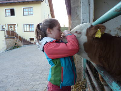 Bild 37 aus  Ferienhof Lochau