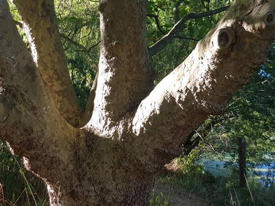 Bild 26 aus  Urlaub bei Familie Schmidt in Wippendorf