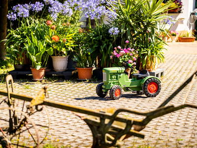 Bild 10 aus  Ferienhof Wolschendorf