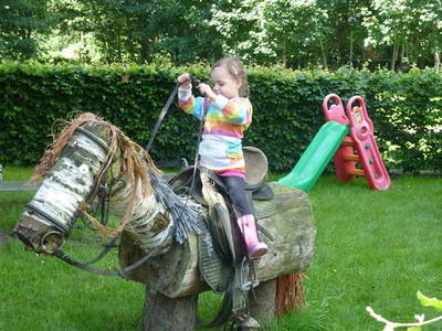 Bild 10 aus  Hof  Schmörholm Urlaubs- und Früchtehof