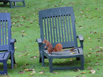 Bild 18 aus  Hof Höpen