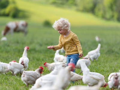 Bild 36 aus  Großrachlhof