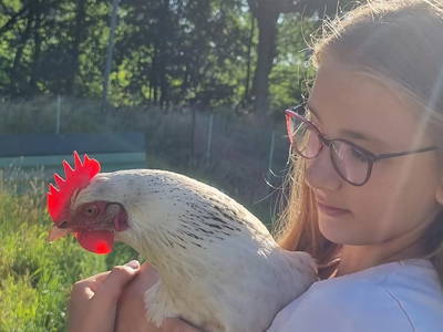 Bild 5 aus  Heeser Hof – Urlaub im Grünen