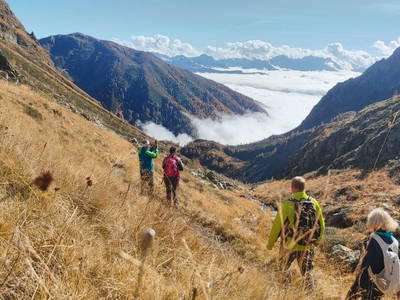 Bild 7 aus  Lippmöshof Apartments