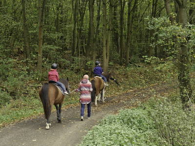 Bild 8 aus  Ferienhof Zinn