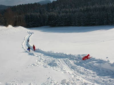 Bild 22 aus  BioFerienhof Höfler