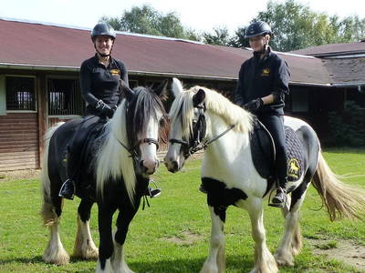 Bild 8 aus  Bernsteinreiter Barth