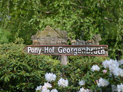 Bild 27 aus  Ponyhof Georgenbruch - Gutshof mit Ferienwohnungen, Pensionsstall und Reitschule