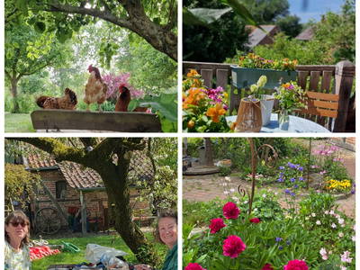 Bild 40 aus  Urlaub unterm Reet