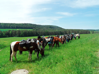Bild 12 aus  Erlebnishof am Kordigast
