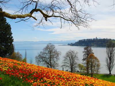 Bild 18 aus  Ferienhof Rösch