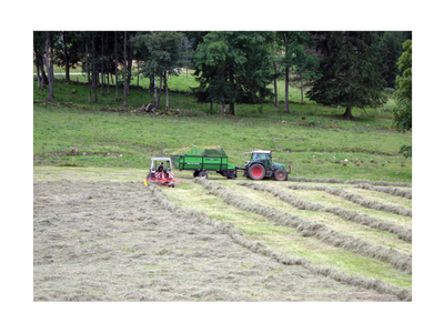 Bild 12 aus  Salenhof