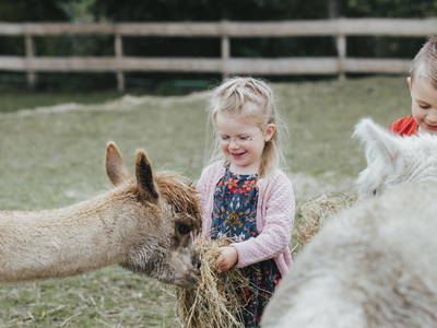 Bild 16 aus  Ferienhof Nordseeblick ****