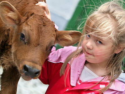 Bild 4 aus  Ferienhof Belke-Spork