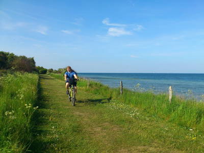 Bild 75 aus  Ahoi Ostsee:  Bauernhof und OstseeUrlaub - Ferienhof Becker in Dahme