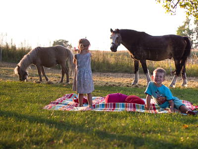 Bild 17 aus  Luginger Hof