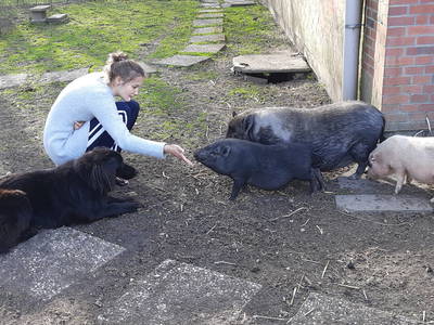 Jolin & Ella besuchen Lotte, Rudi und Rosalie