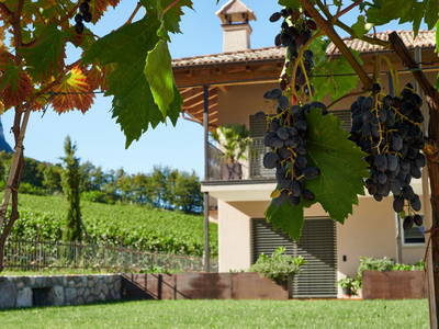 Bild 11 aus  Nofnerhof