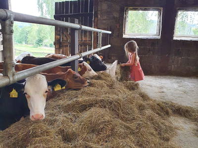 Bild 37 aus  Bauernhofpension Bals