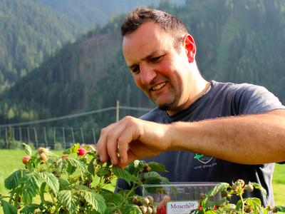 Bild 8 aus  Moserhof