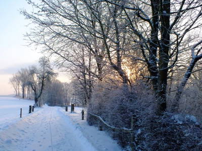 Bild 21 aus  Gripshof