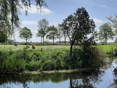 Bild 25 aus  Ferienhof Martens