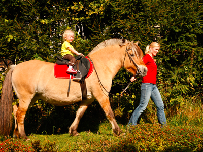 Bild 4 aus  Haberlhof