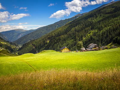 Bild 30 aus  Obergaunitschhof