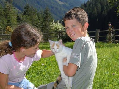 Bild 34 aus  Strickhof