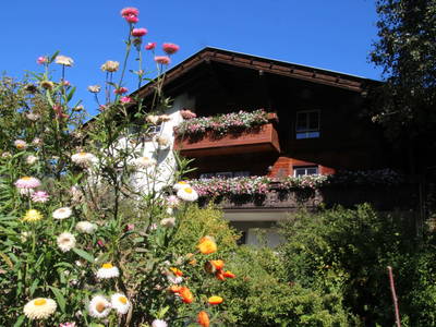 Bild 2 aus  Bio-Bauernhof Auernig