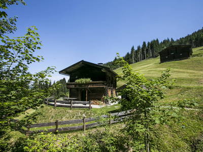 Bild 56 aus  Almhütte Kohlenau