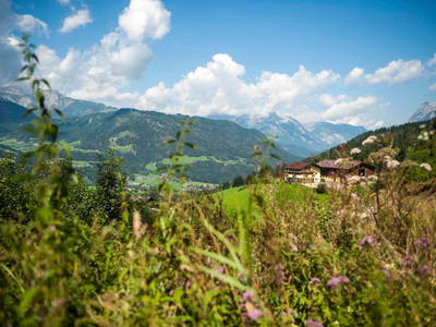 Bild 26 aus  Bichlgut