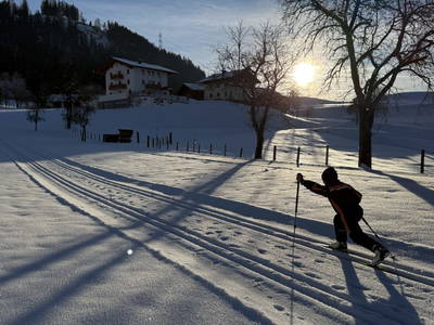Bild 73 aus  Bio Schartenhof
