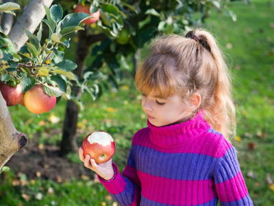 Bild 34 aus  Feriengut Hasenau