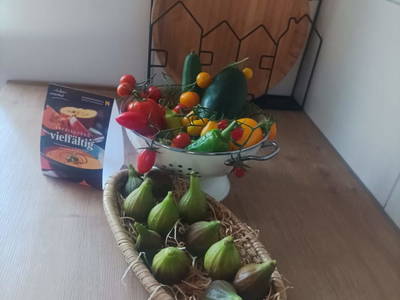 Bild 46 aus  Ferienhaus Weinmeyer 