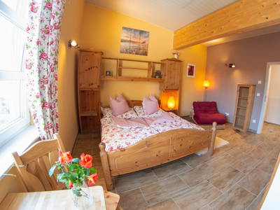 Bild 21 aus  Hippo-Campus Reit- und Therapiezentrum